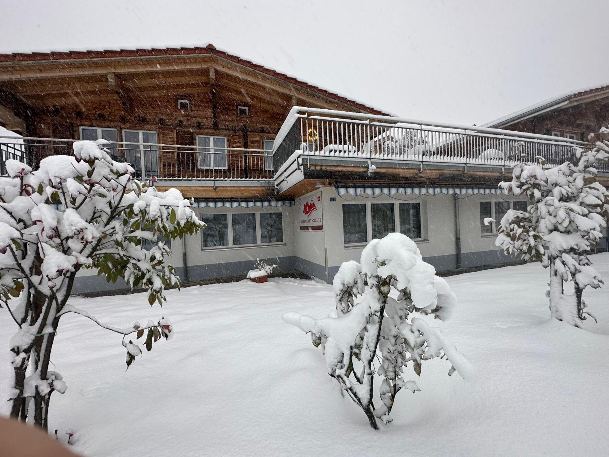 Swiss Chalet Holidays Ringgenberg  Kültér fotó